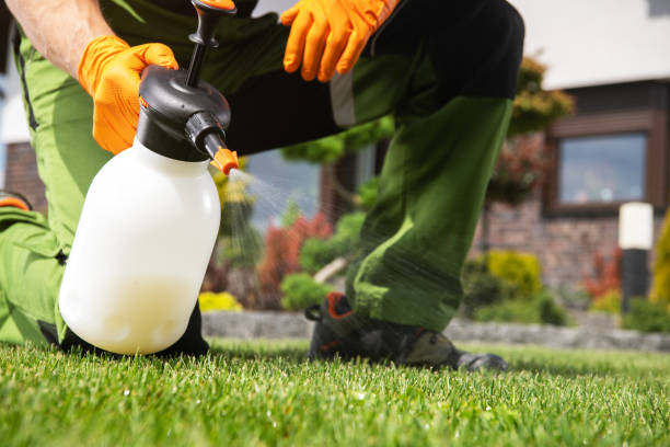 Best Residential Pest Control  in Albany, KY